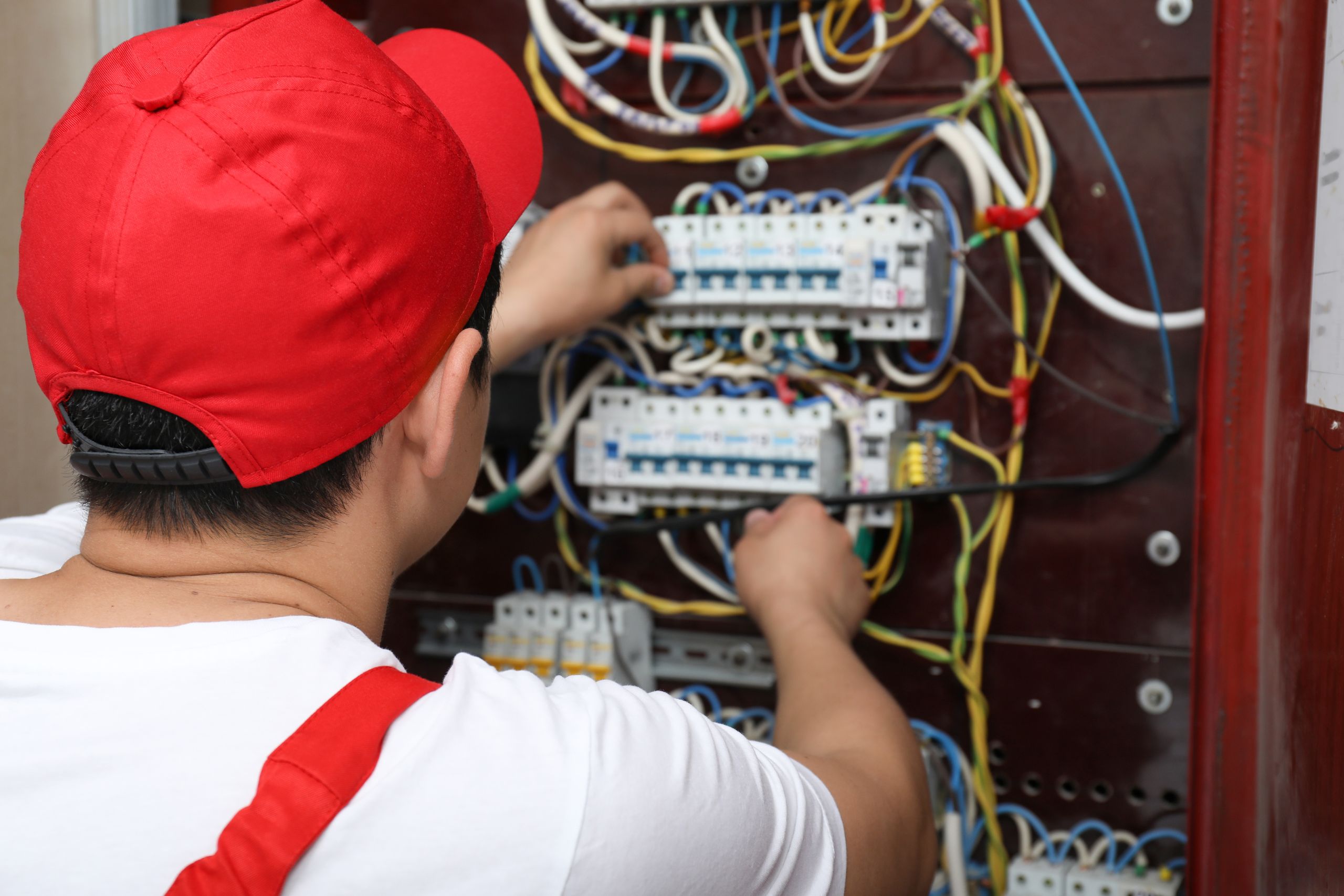 Balancing DIY Curiosity with Professional Expertise